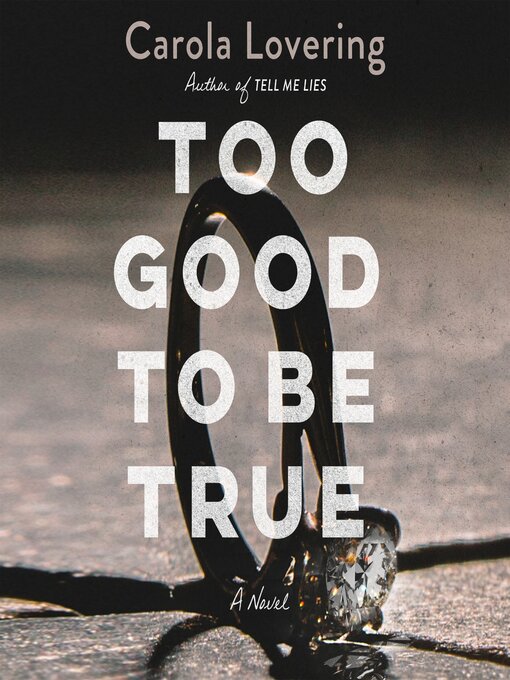 Title details for Too Good to Be True by Carola Lovering - Available